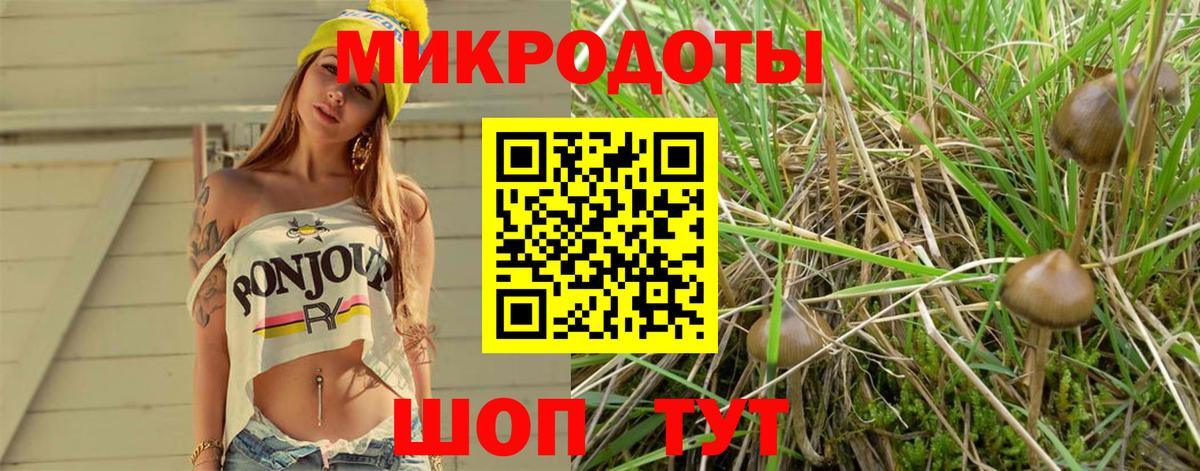 Галлюциногенные грибы мицелий  Вход с VPN  Галлюциногенные грибы ЛСД  Чапаевск 