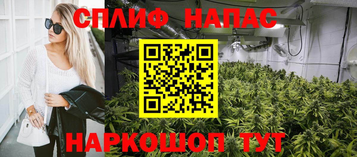Бошки Шишки VHQ Чапаевск
